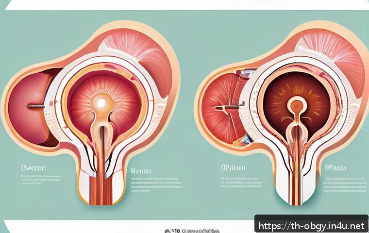 임신 중 양수과다증 및 양수부족증 원인과 치료 관련 이미지 1